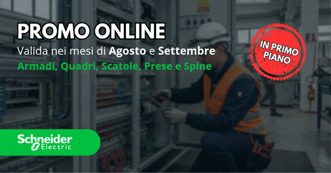 Strillo promozione web schneider